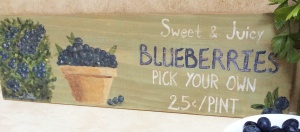 Blueberry vintage sign